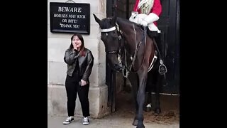 Shuffle away from the Horse #horseguardsparade