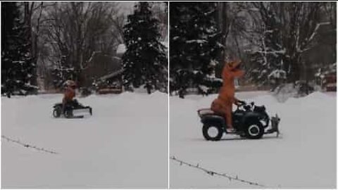 Dinosaurer vet også hvordan de skal leke i snøen!