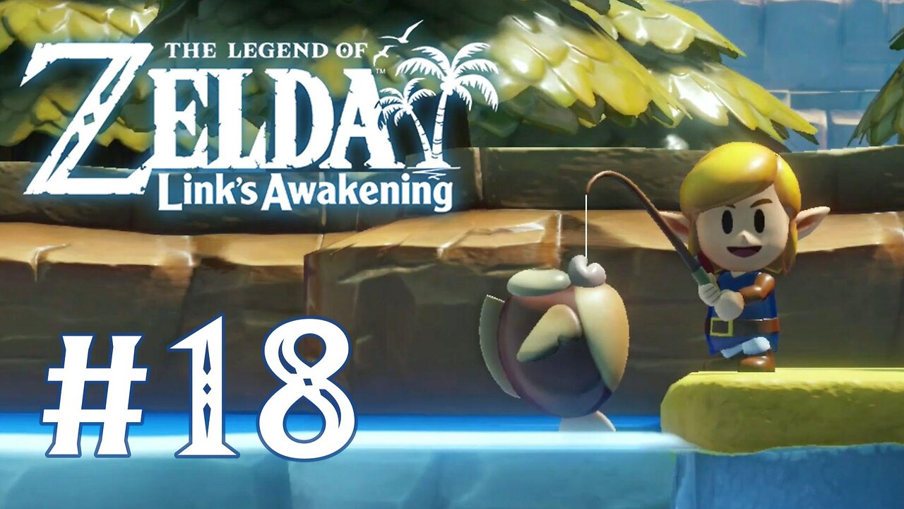 The Legend of Zelda: Link's Awakening (2019) - More Collectables