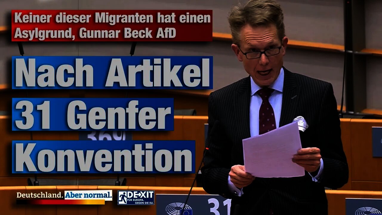 Keiner dieser Migranten hat einen Asylgrund, Gunnar Beck AfD