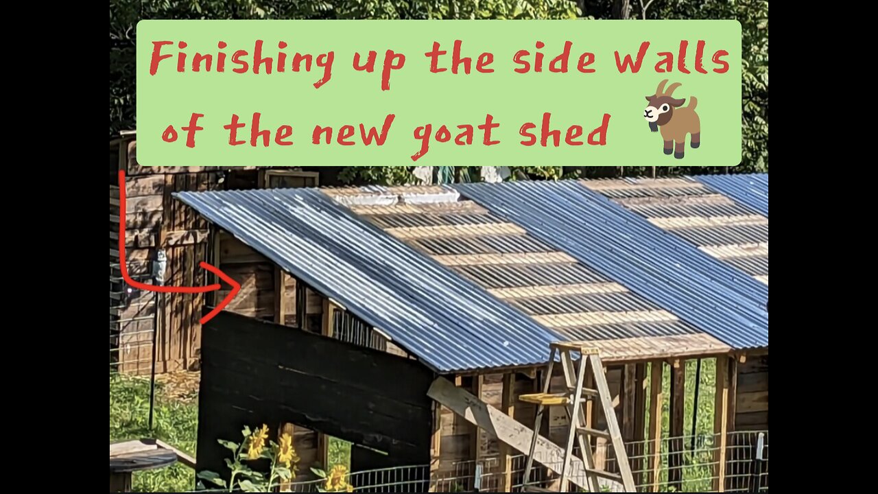 Part 4 of building the goat shed....one step closer to happy goats! 🐐