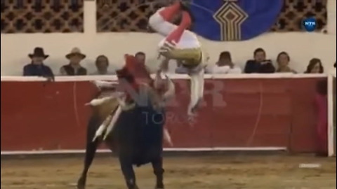 Matador's Crotch Takes Bull By The Horns In Gruesome Video