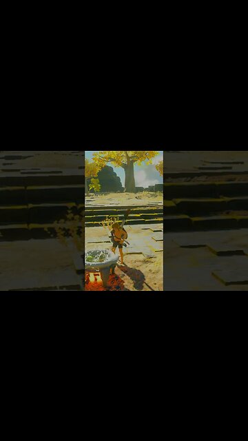 Cooking with Link Short