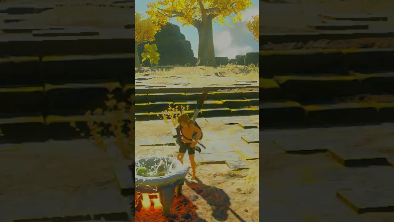 Cooking with Link Short