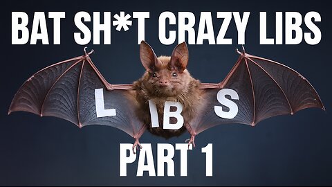 Bat sh*$#t crazy libs on the street