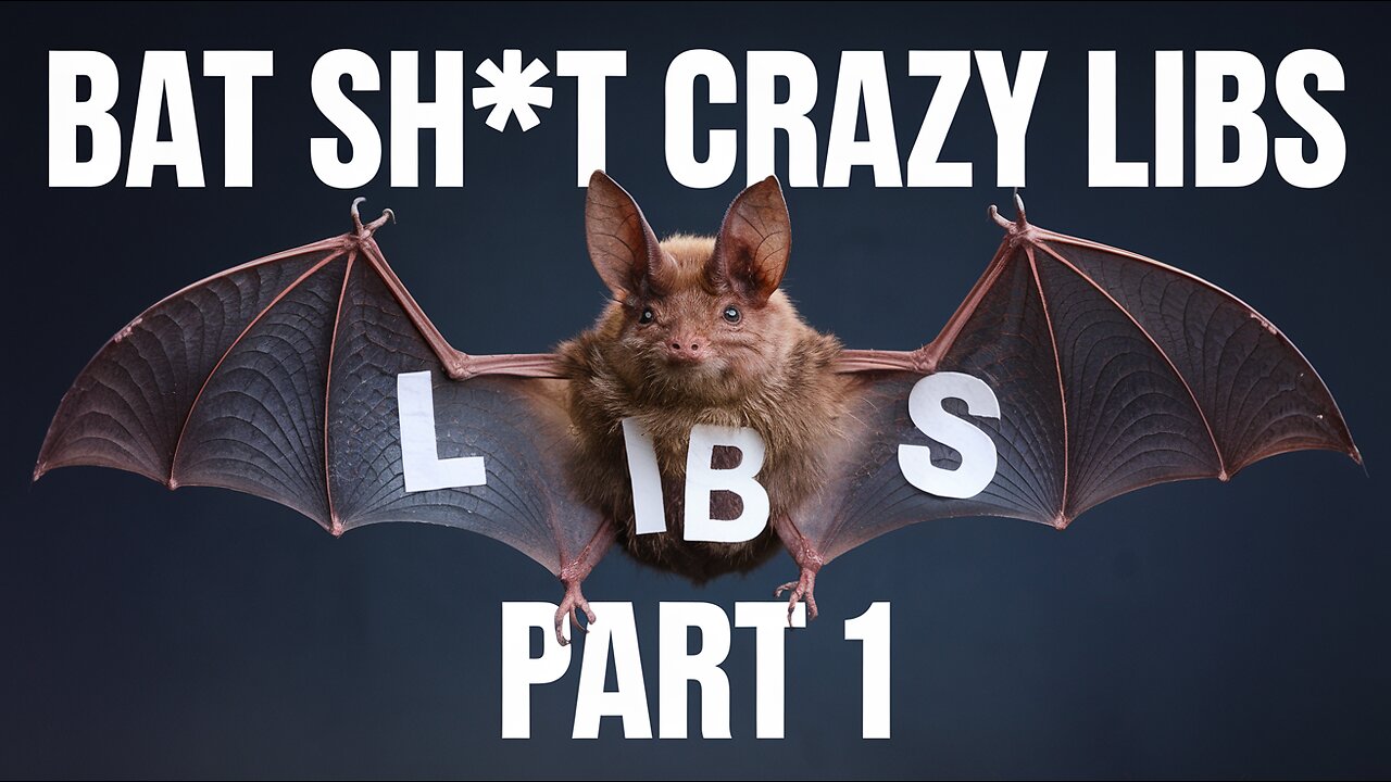 Bat sh*$#t crazy libs on the street