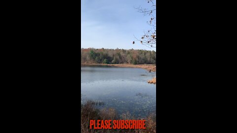 Sunny Pond Overlook