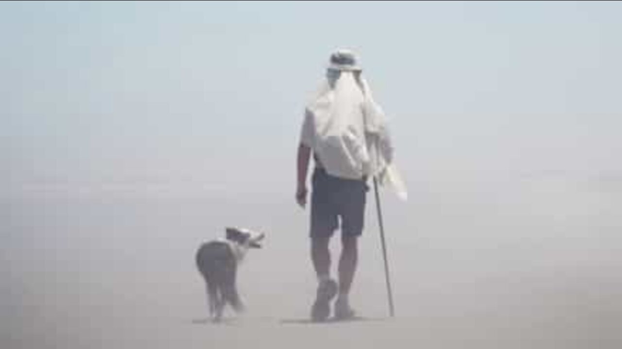 Viaggia per 3400 km insieme al suo fedelissimo cane!