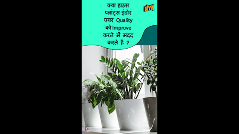 इंडोर एयर quality मे सही करने के लिए शीर्ष 3 आसान टिप्स