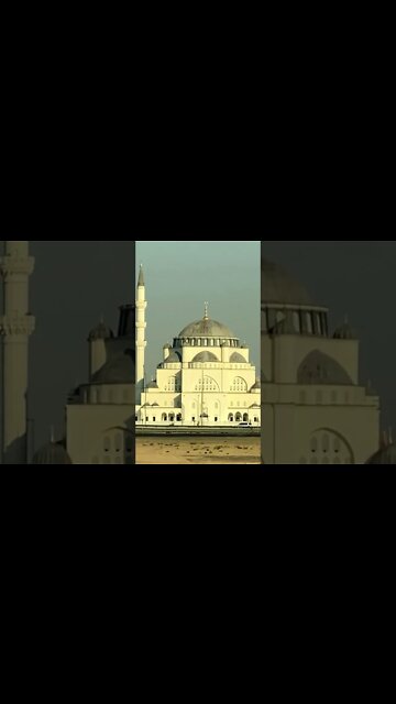 #Shorts #Travel #Vacation #Tourist #Enjoy #Visit #Love #Happiness #Trip #Destination #Sharjah