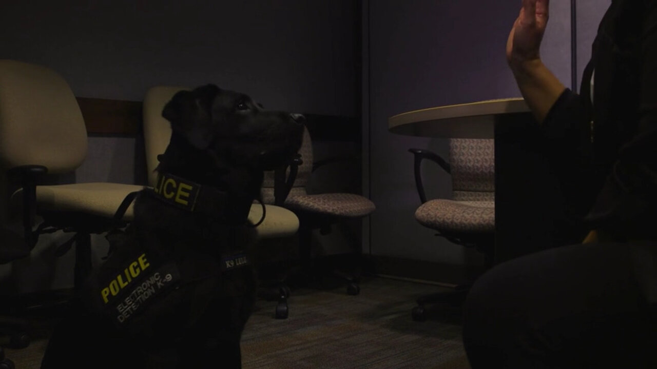 Alani Bankhead and her partner, Lulu, discuss how they’re keeping Hawaii’s keiki safe