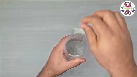 Tips to grow garlic in water bottles