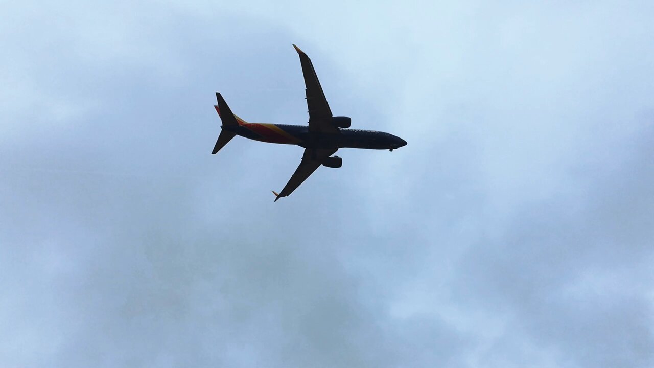 Blasian Babies DaDa Drives Around For Plane Spotting (1440 Time Lapse Jungle Filter Up Angle)