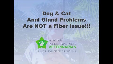 Dog & Cat Anal Gland Issues Have Nothing to do with Fiber!