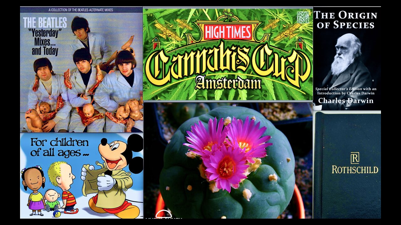 Disney Grooming Cabal Darwin Rothschilds Beatles Peyote Third Eye Cannabis Cup Amsterdam White Hats