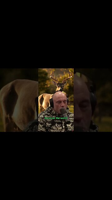 Joe Rogan describing his first hunt experience with Steven Rinella #shorts