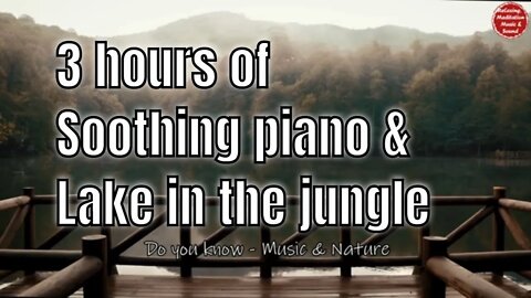 Soothing music with piano and jungle sound for 3 hours, music for healing and relaxing