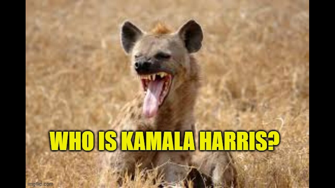 Who Is Kamala Harris?