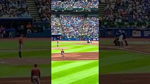 At the Jays game in T.O.