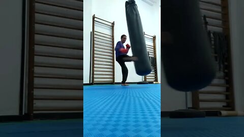 Kick, Punch, Elbow and Knee The Bag (14)