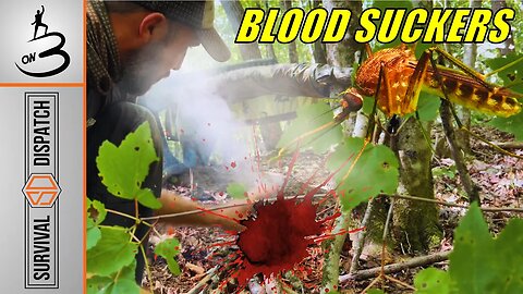 How To: The Secret to Comfort When SURVIVAL CAMPING! | ON3 Jason Salyer