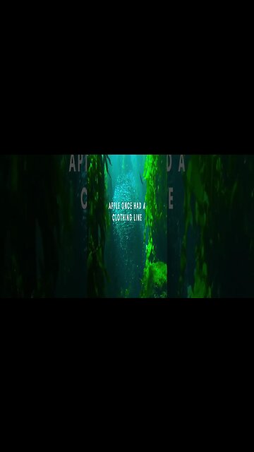 RANDOM FACTS! For The Curious Mind Vid #15 #Shorts #Facts