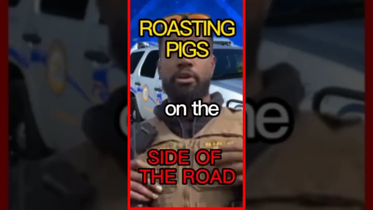 Roasting A Pig On The Side Of The Road