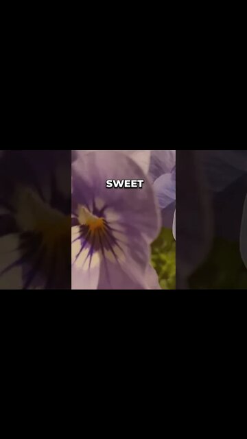 Listen to full meditations at Women's meditation network channel #meditation #sleep #shorts