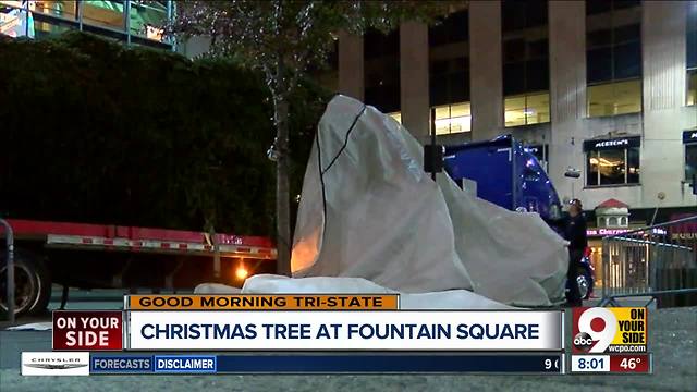 Christmas tree arrives at Fountain Square in downtown Cincinnati