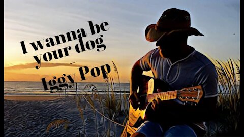 I wanna be your Dog