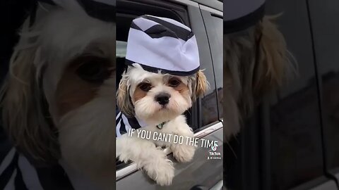 DONT DO THE CRIME.. #shorts #tiktok #youtube #youtubeshorts #tiktokvideo