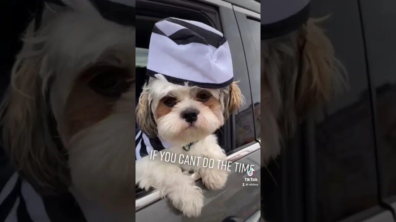 DONT DO THE CRIME.. #shorts #tiktok #youtube #youtubeshorts #tiktokvideo