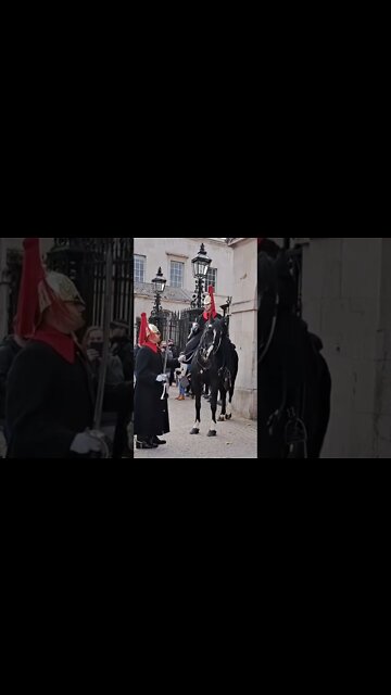 Foot man helps with horse #horseguardsparade