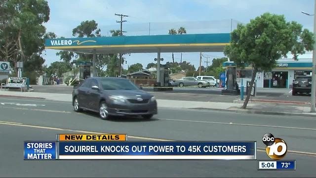 Squirrel knocks out power to 45,000 workers
