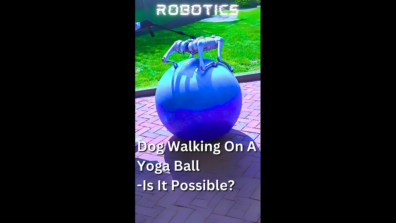 How an AI Taught Dogs to Walk on Yoga Balls