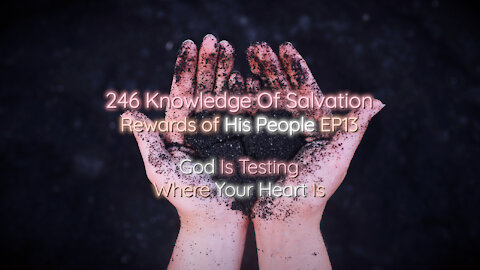 246 Knowledge Of Salvation - Rewards of His People EP13 - God Is Testing Where Your Heart Is