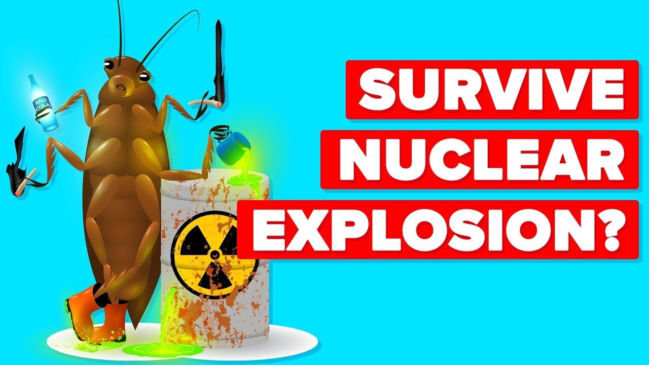 How Can A Cockroach Survive A Nuclear Explosion