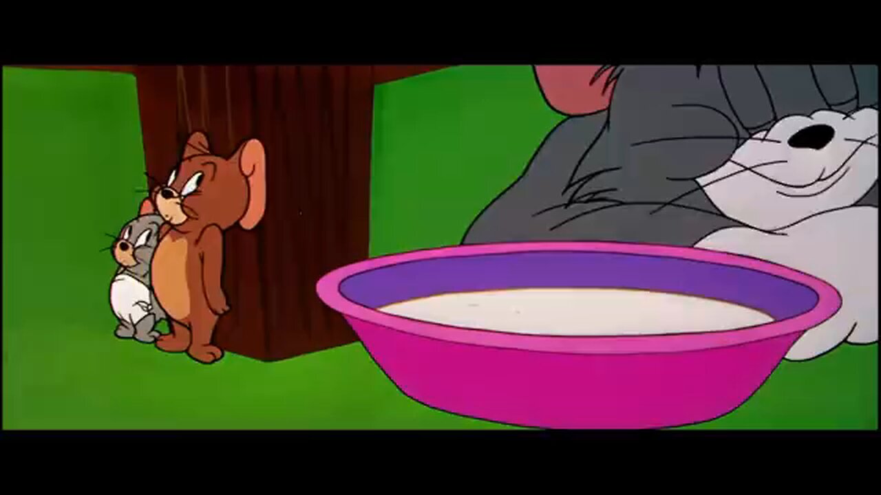 Tom and Jerry Cartoon videos