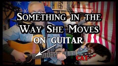 James Taylor's Something in the Way She Moves on Guitar (with my cat)