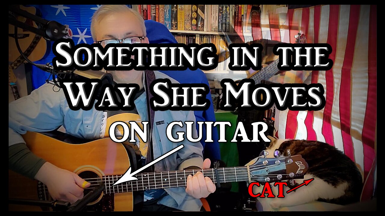 James Taylor's Something in the Way She Moves on Guitar (with my cat)