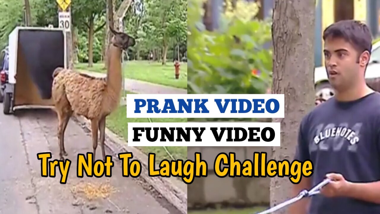 Prank video | Funny video | Try not to laugh challenge