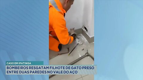 Caso em Ipatinga: Bombeiros Resgatam Filhote de Gato Preso entre duas Paredes no Vale do Aço.