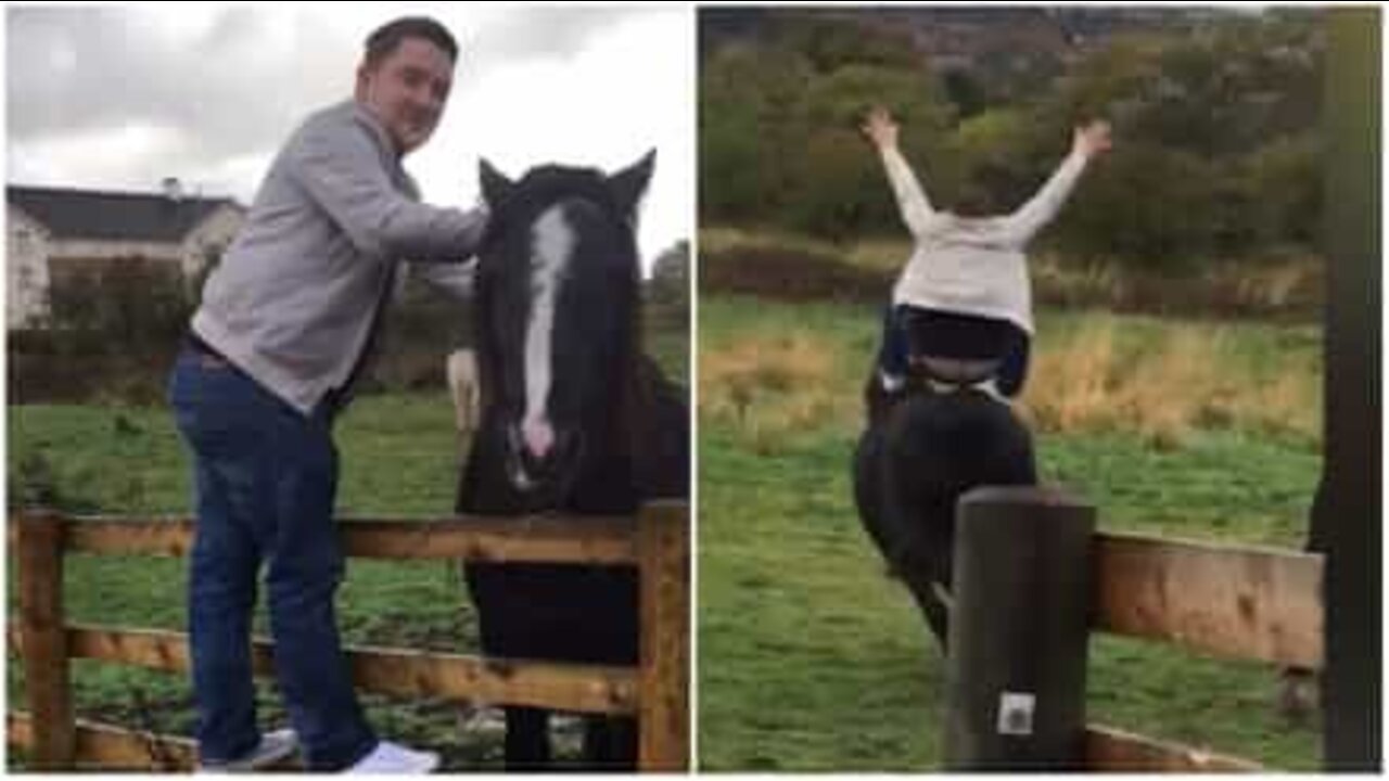 Montar cavalos aleatórios é sempre má ideia!
