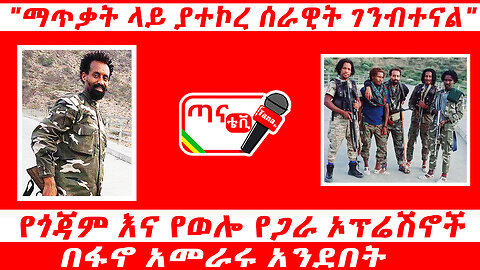 ጣና ግንባር፦ የጎጃም እና የወሎ የጋራ ኦፕሬሽኖች በፋኖ አመራሩ አንደበት