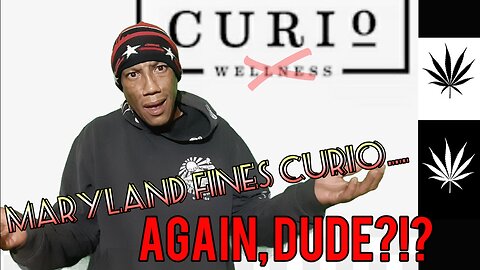 Curio Wellness Faces Multiple Maryland Fines!