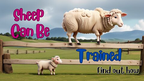 Sheep Can Be Trained