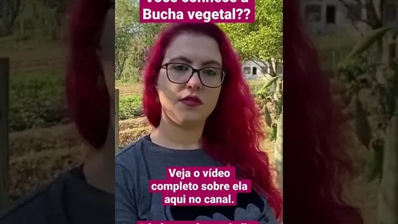 Você sabe o que é Bucha Vegetal?