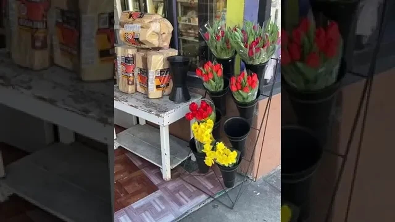 Another Lovely Day In San Francisco tiktok cindycereal