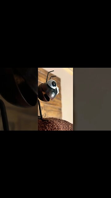 Anttiffa infiltrated 1776RM can you say #inteltiffa