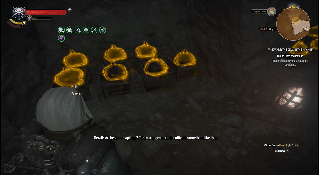 The Witcher 3 wine wars deux ex machina